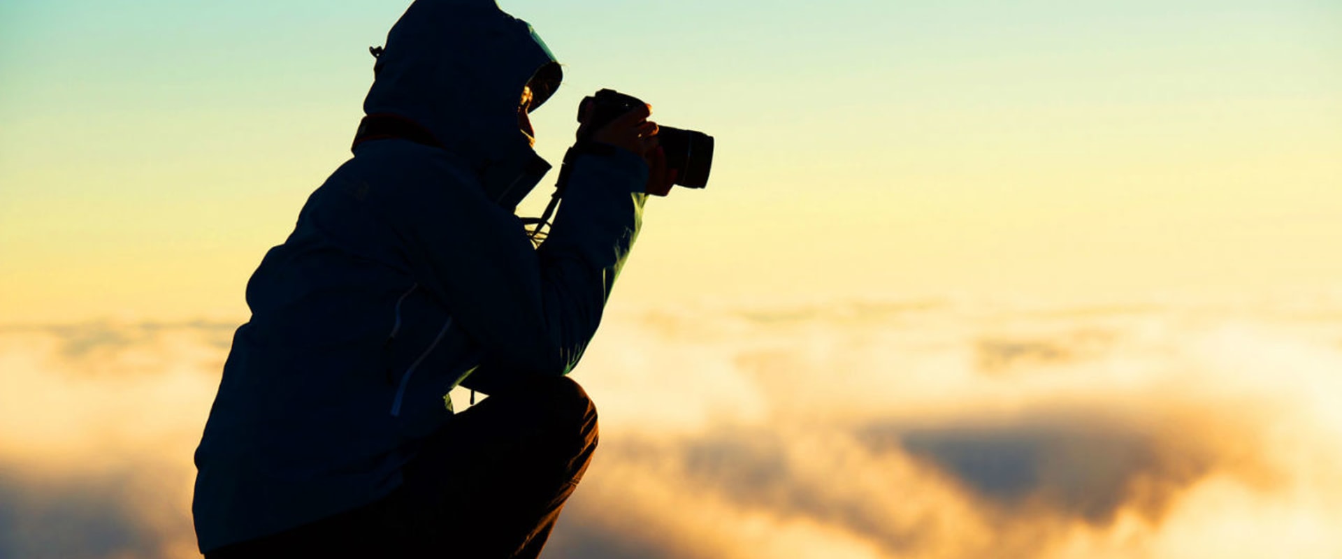 Consulta los directorios en línea de fotógrafos