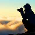 Consulta los directorios en línea de fotógrafos